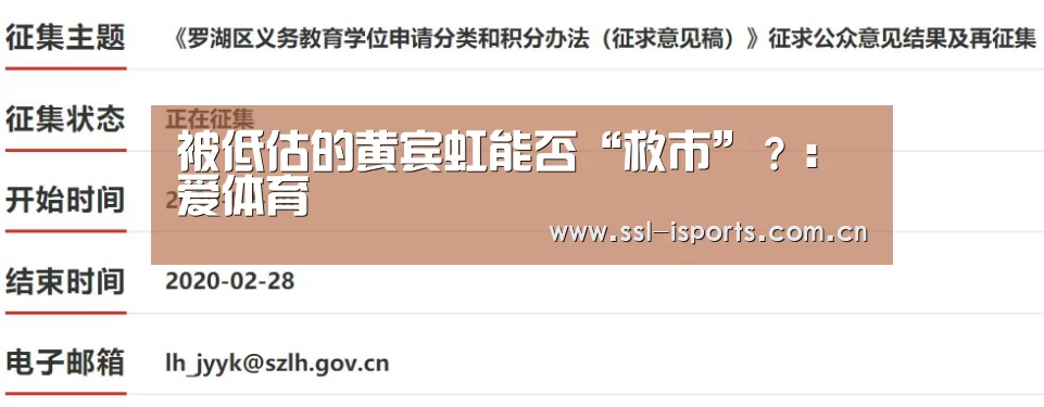 被低估的黄宾虹能否“救市”?:爱体育(图3) 爱体育